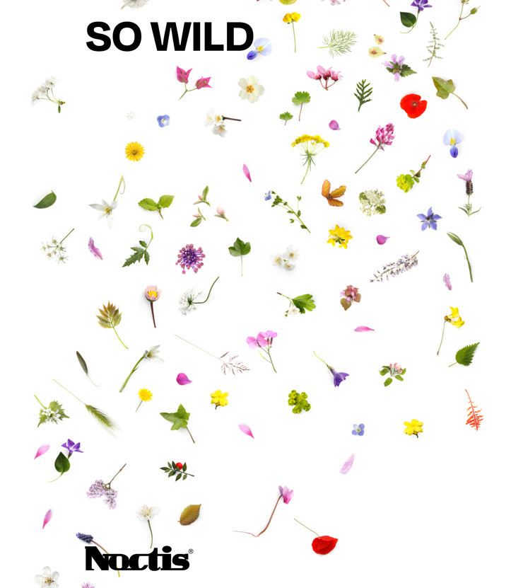 sowild_cover.jpg